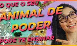 Principais Animais de Poder