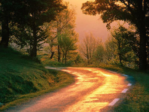 image_caminho image_caminho